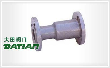 QH41 42M臥立兩用球面止回閥